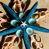 Blue Limpet Star Ornament