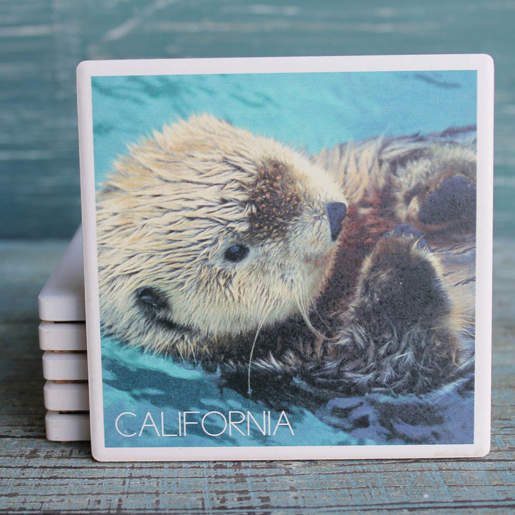 Sea Otter CA Coaster