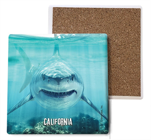 California Shark Coaster