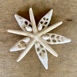 Snowflake Star Ornament