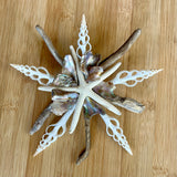 Abalone Driftwood Star Wall Decor