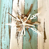 Abalone Driftwood Star Wall Decor