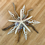 Abalone Driftwood Star Wall Decor