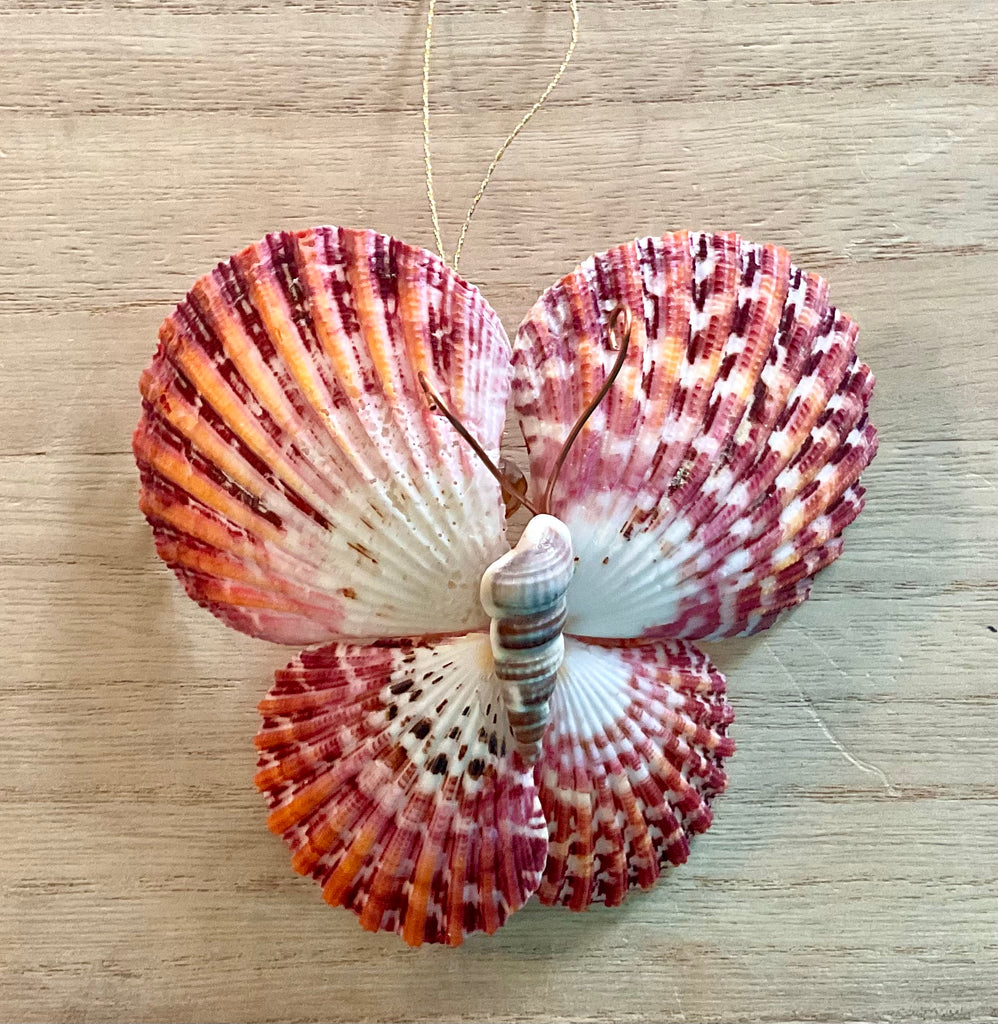 Colorful Butterfly Shell Ornament