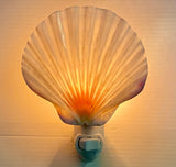 Irish Flat Scallop Shell Nightlight