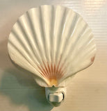 Irish Flat Scallop Shell Nightlight