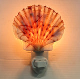 Irish Flat Scallop Shell Nightlight