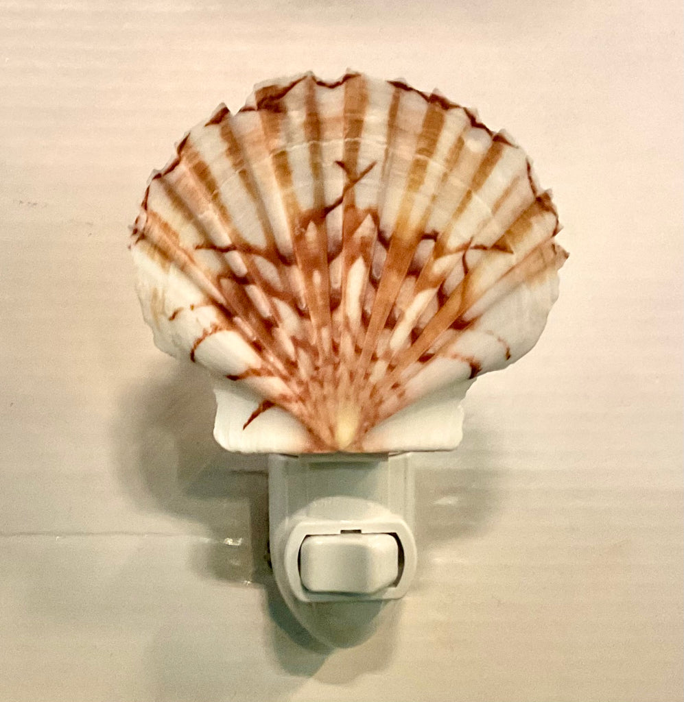 Irish Flat Scallop Shell Nightlight