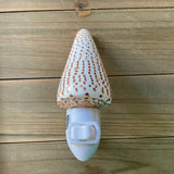Cone Shell Nightlight