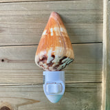 Cone Shell Nightlight