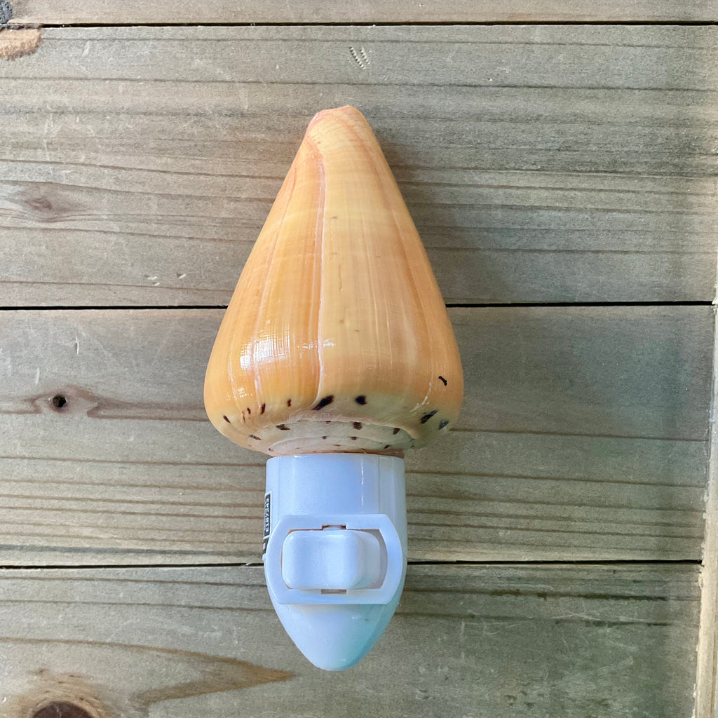 Cone Shell Nightlight