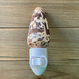 Cone Shell Nightlight