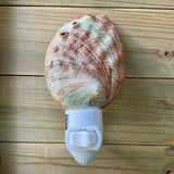 Abalone Shell Nightlight