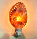 Abalone Shell Nightlight