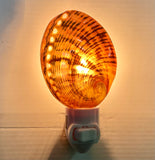 Abalone Shell Nightlight