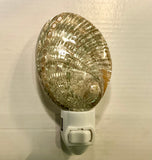 Abalone Shell Nightlight