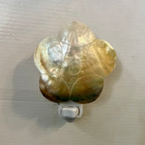 MOP Shell Nightlight