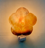 MOP Shell Nightlight