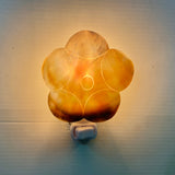MOP Shell Nightlight