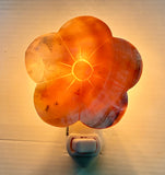 MOP Shell Nightlight