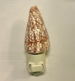 Cone Shell Nightlight