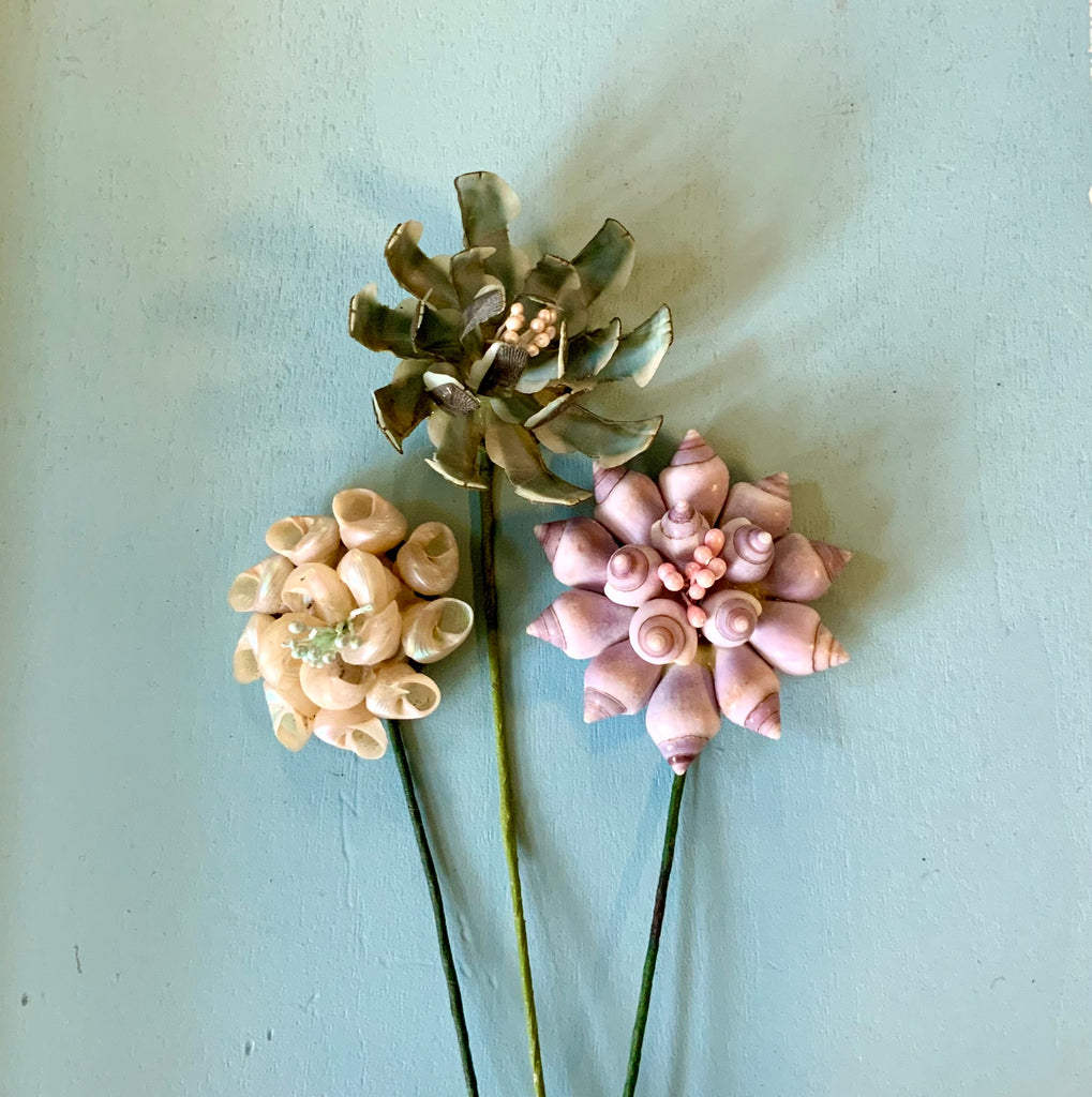 Colorful Seashell Flower