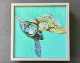 Sea Turtle Love Picture