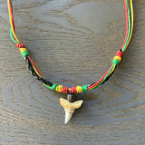 Shark Tooth Adjustable Braided Necklace