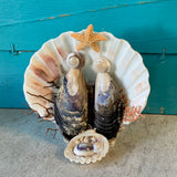 Mussel Shell Manger Scene