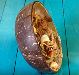 Mother Of Pearl Coconut Nativity Scene