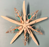 Seafoam Starfish Starfish Tree Top