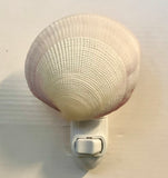 Natural Pink Ombré Clam Nightlight