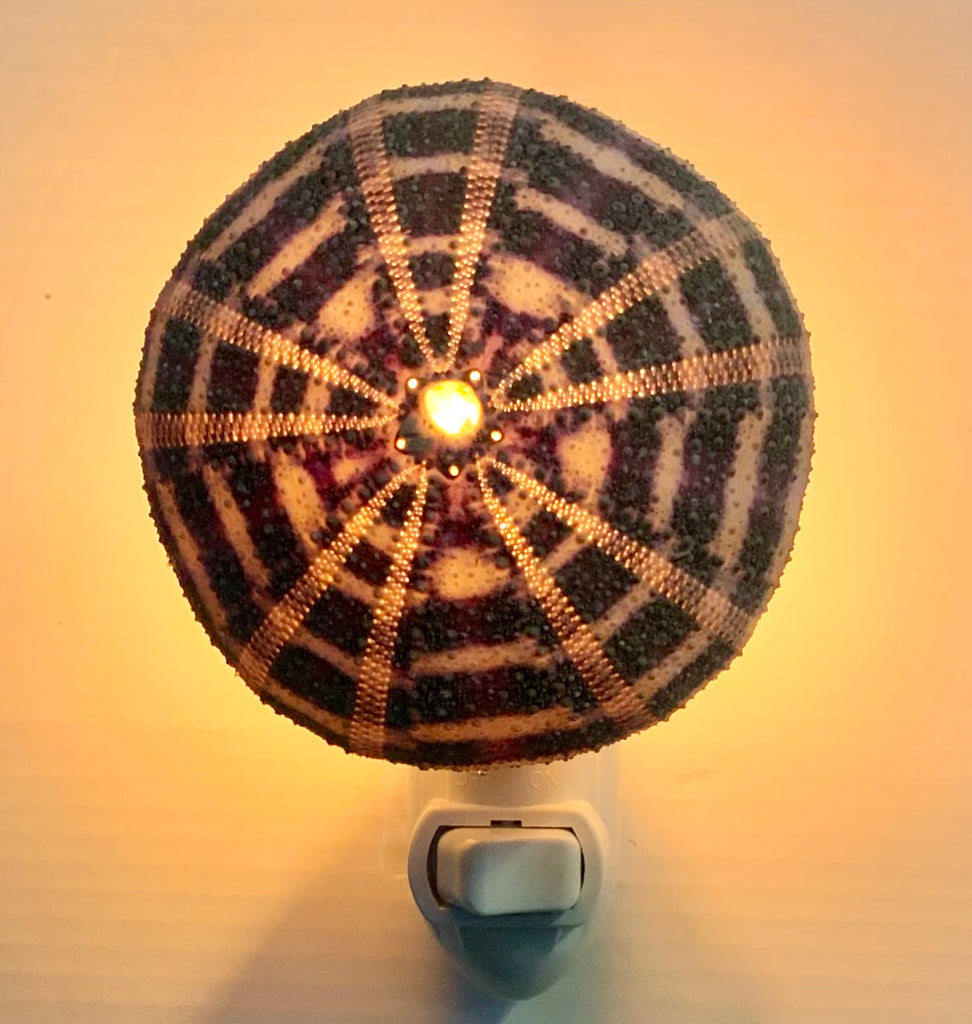 Sea Urchin Nightlight