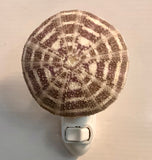 Sea Urchin Nightlight