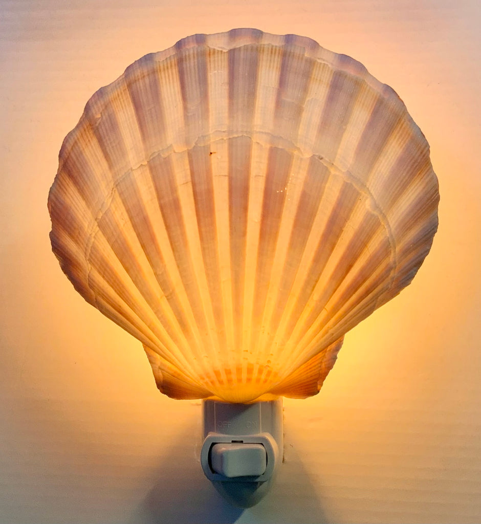 Sandy Scallop Shell Nightlight