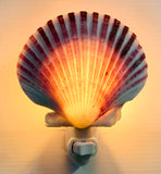 Pink Pecten Shell Nightlight