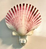 Pink Pecten Shell Nightlight