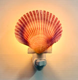 Pink Pecten Shell Nightlight