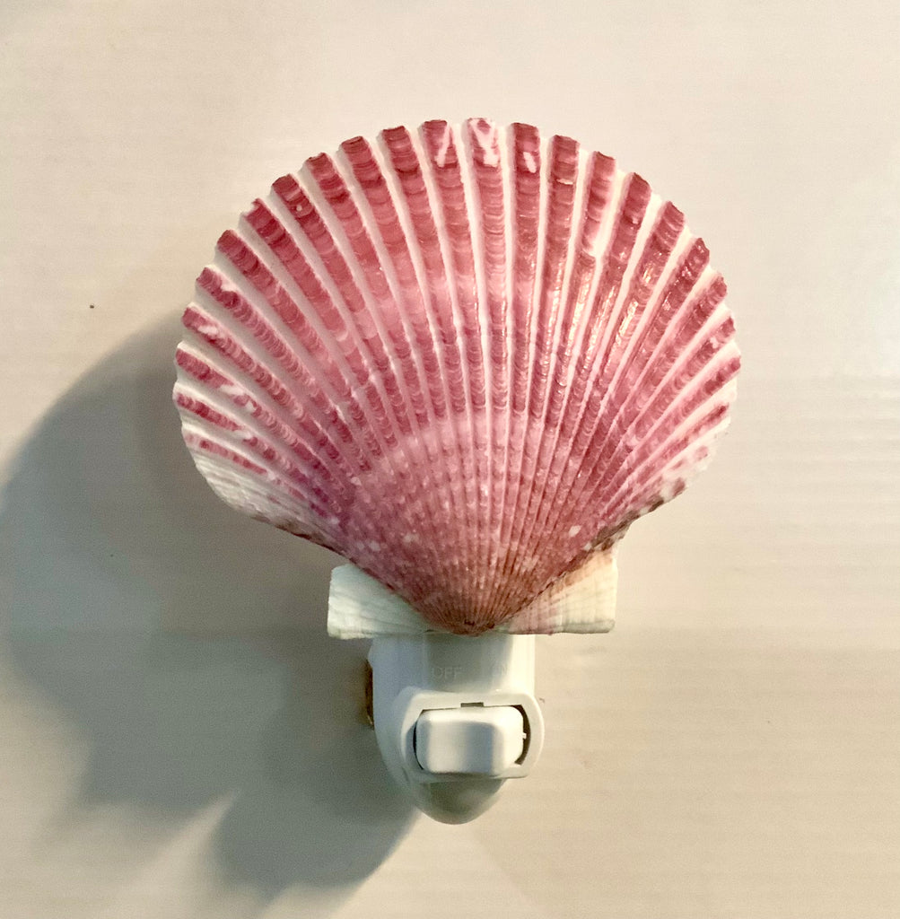 Pink Pecten Shell Nightlight