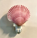 Pink Pecten Shell Nightlight