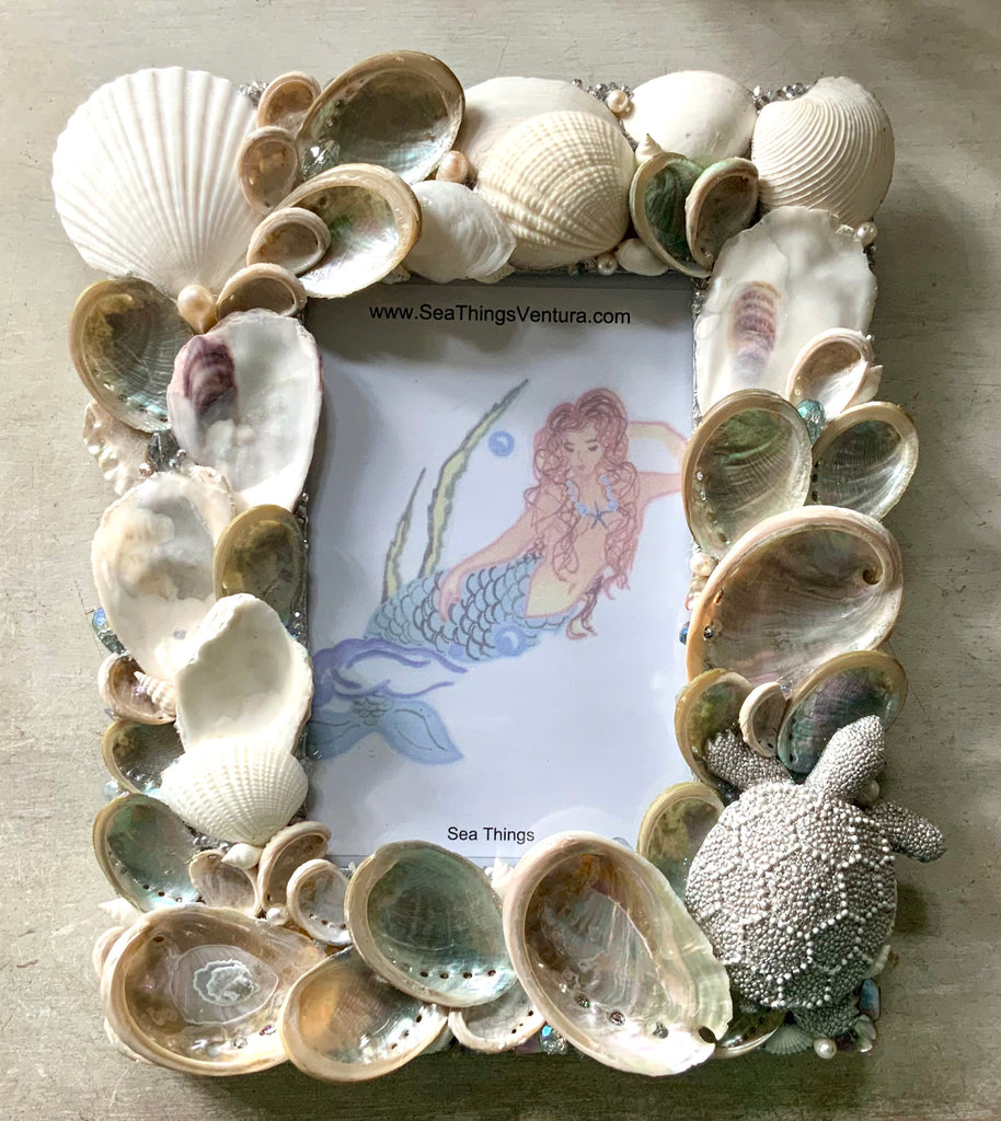 Coastal Shimmer Turtle Seashell Frame