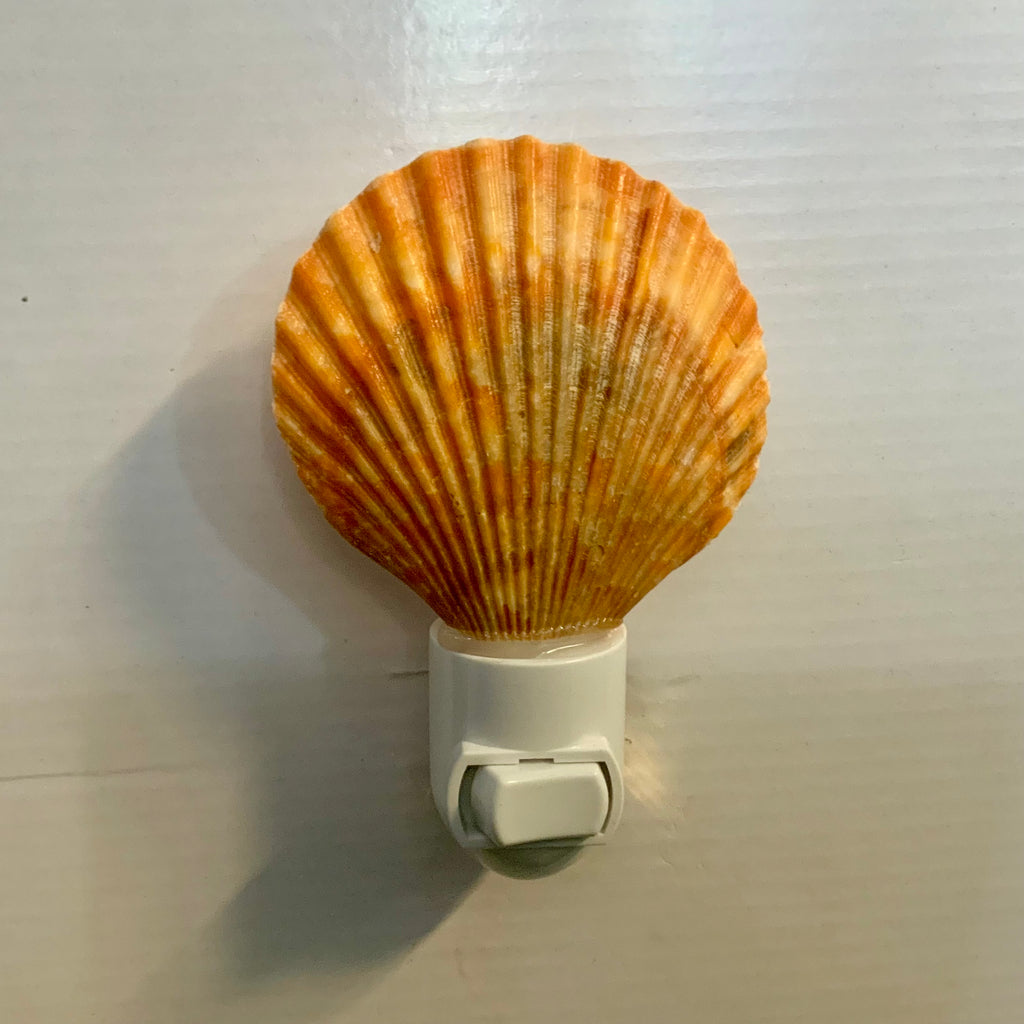 Colorful Scallop Shell Nightlight