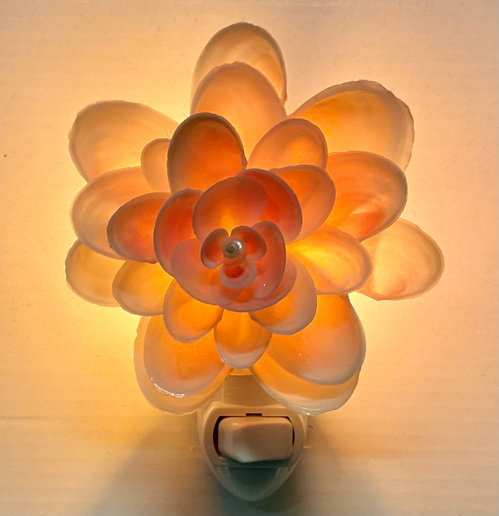 Flower Seashell Nightlight