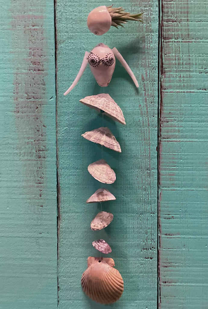 Limpet Tail Mermaid Air Plant