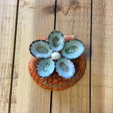Shell Flower Magnets