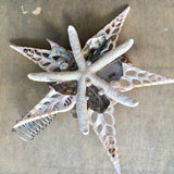 Abalone Shell Tree Topper Star