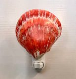 Spondylus Clamshell LED Nightlight