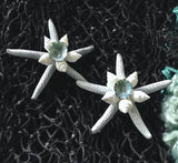 Colorful Starfish Shell Magnet