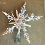 White Starfish Coral Tree Top