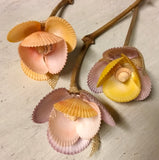 Rainbow Scallop Flower
